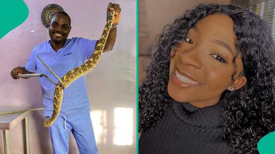 Nanyah's death: Are snakes attracted to music? Snake expert Dr Mark Ofua reacts to claim