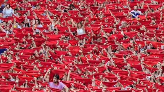 Viva! Spain bull-running fiesta returns after pandemic pause