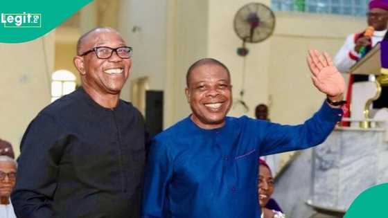 Ihedioha at 60: Peter Obi, ex-NEC chairman, others attend ex-Imo gov's birthday thanksgiving