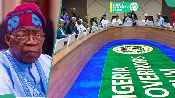 Shugaba Tinubu ya samo mafita ga gwamnonin Najeriya kan masu sukarsu