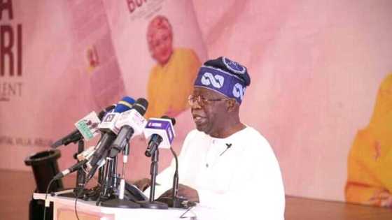 Mutanen Bola Tinubu sun bukaci wasu ‘yan siyasa 3 su gaggauta janye takarar Shugaban kasa