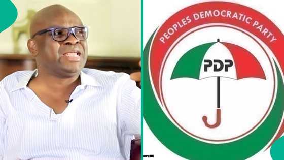 2027 elections: Fayose predicts what will happen to PDP