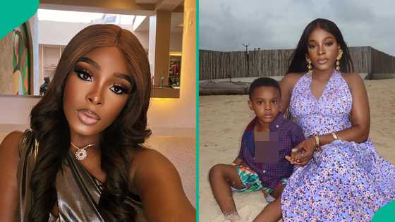 Single mother shares why her son won't look for his father when he grows older, people react