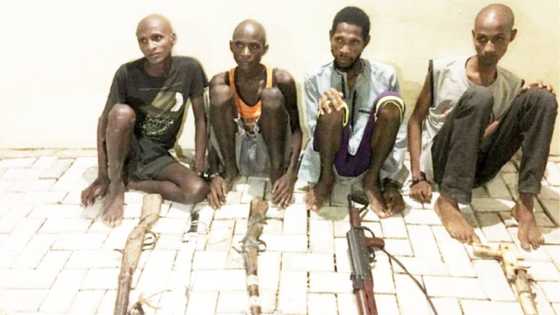 Tirkashi: N500m muka nufaci samu a sana'ar mu ta garkuwa da mutane inji wasu 'yan ta'adda