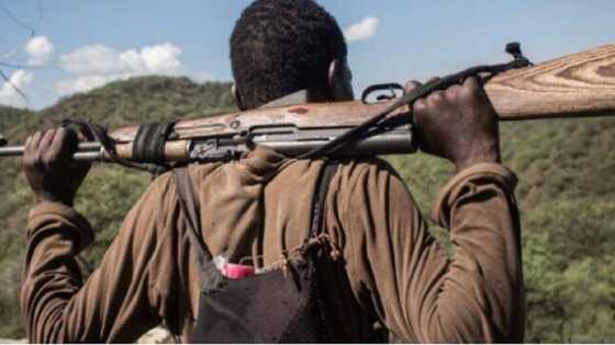 Da Ɗumi-Ɗumi: 'Yan bindiga sun sace mutane 50, sun kashe wasu huɗu a Zamfara