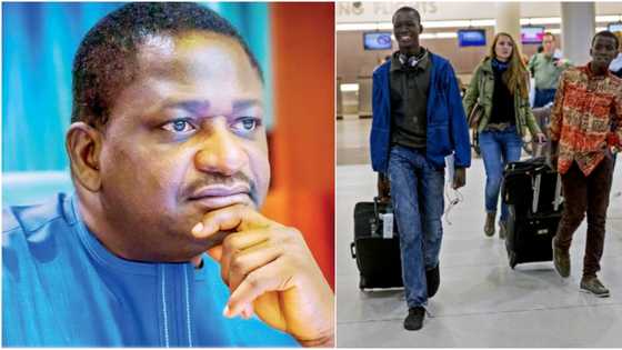 ‘Japa’: Presidency sends strong message to youths relocating abroad for better opportunities