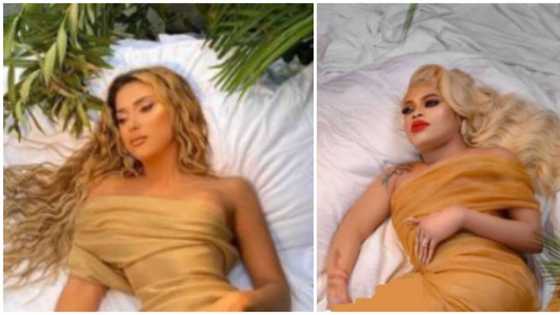 "One is natural, one is edited": Reactions to style inspo behind Bobrisky's birthday photo