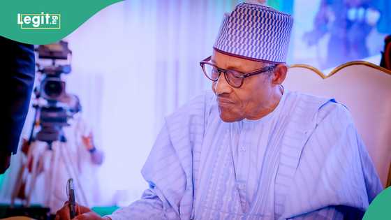 Adesina: Buhari could have been long dead if he had used Nigerian hospitals