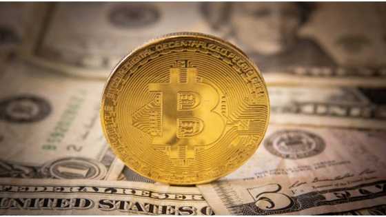 Bitcoin creator, Satoshi Nakamoto, joins list of 20 richest people on earth