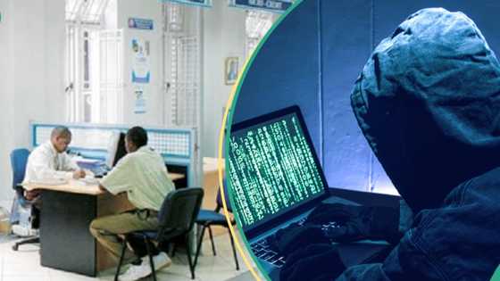 “Block account”: Access Bank, Zenith, others advice customers as Nigerians lose N51bn to criminals