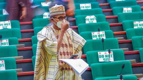 Twitter is not food: Federal lawmaker canvasses regulation of social media