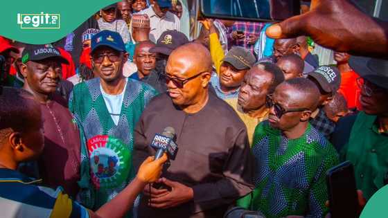 5 mistakes Peter Obi must not repeat in 2027 elections, Analyst explains