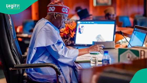 Nigeria’s ambassadors in the eye of a global storm