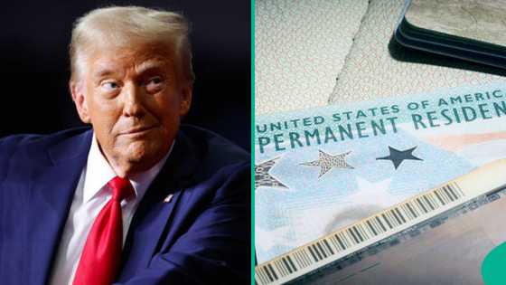 US approves over 99,000 green cards for 3 categories of applicants