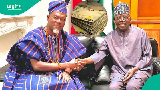 Estimated salary of Nigerian ambassadors released following Tinubu’s appointments