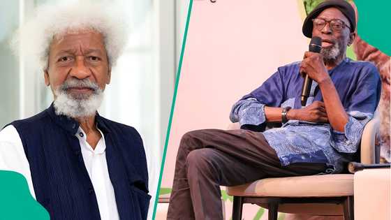 Wole Soyinka pays tribute to late scholar Biodun Jeyifo, shares rare memories from Ibadan days