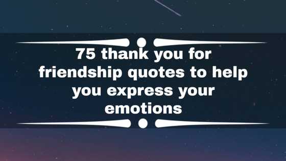 75 thank you for friendship quotes to help you express your emotions