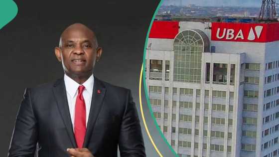Tony Elumelu set to add N1.2bn to his wealth as UBA announces huge rewards for shareholders