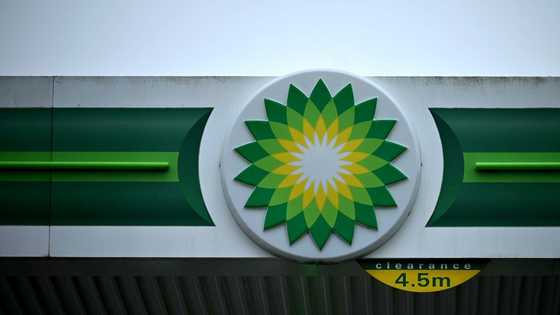 BP makes largest oil, gas discovery in 25 years off Brazil