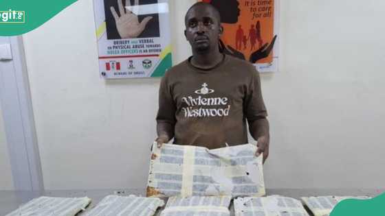 NDLEA arrests Thailand returnee with N3.1billion illicit drugs at Lagos airport