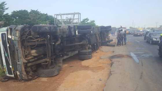 Protest as cows cause accident on Lagos-Ibadan expressway