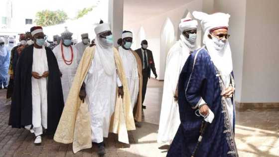 Abin da Buhari ya fadawa Sarakuna a zaman da su ka yi a fadar Aso Villa ya bayyana