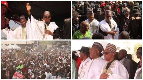 Peter Obi, Datti Enjoy Massive Turnout as LP Storms Kano for 2023 Presidential Campaign