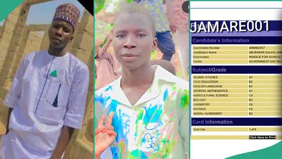 WAEC result of boy who signed out of secondary school like university graduate surfaces online