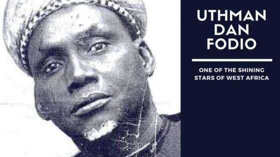 Kunne ya girmi kaka: Alakar sarautar 'Sarkin Bai' da jihadin Shehu bin Fodio