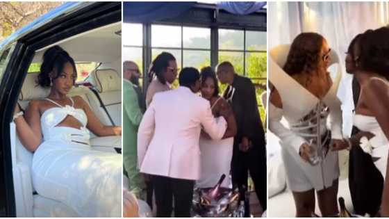 "So gorgeous and confident": Tems casually hangs out with Beyonce, Jay Z at pre-Grammy brunch, videos go viral