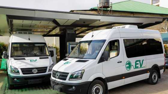 Innoson Motors gets strong competition as FG acquires Made-in Nigeria electric cars