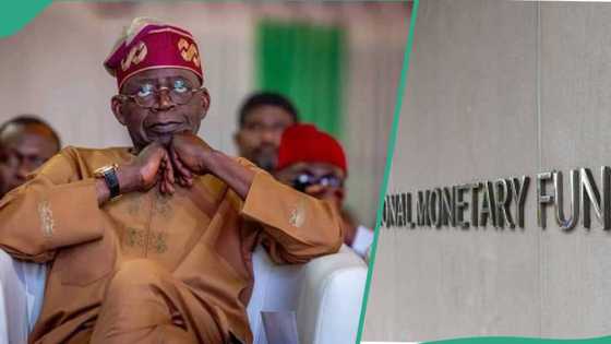 "Akwai yiwuwar gwamnatin Tinubu ta kara kasafin 2024 domin gyara albashin ma'aikata," IMF