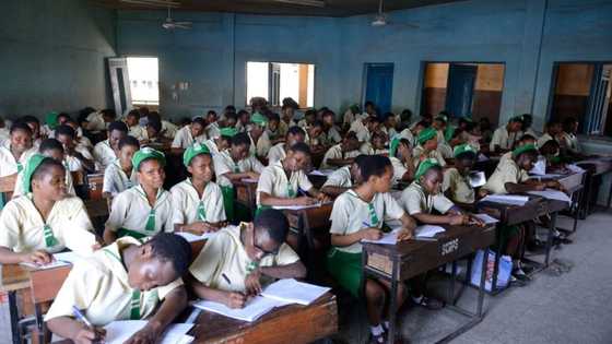 NECO announces date for rescheduled exams in 12 states (see list)