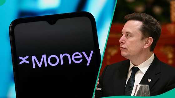 Elon Musk launches xMoney: 7 key things to know before using X’s new digital banking service
