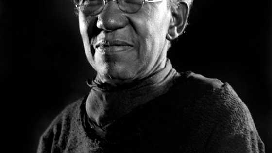 My DIL kicked me out of my house, made me live in animal shelter — But she didn't see what was coming