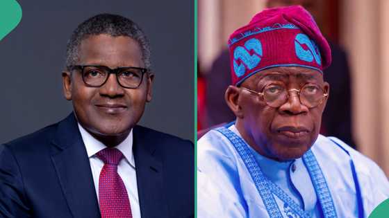 Dangote visits Tinubu, discusses NNPC’s leadership changes and commitment, others