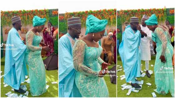 Beautiful bride rocks husband on wedding day, he becomes too shy to hold her waist, his friends intervene