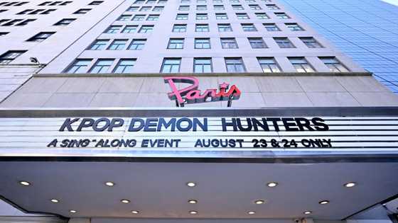 Netflix shares sink as quarterly profit misses mark