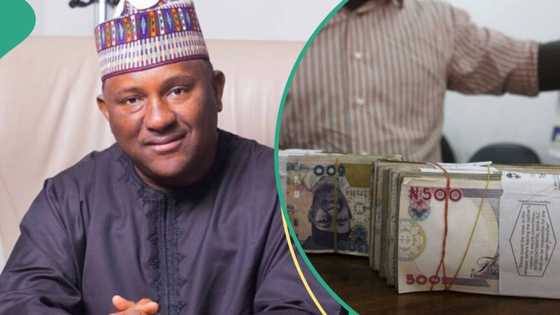 Dangote’s competitor, Rabiu, speaks on new price of rice, others, predicts new naira rate