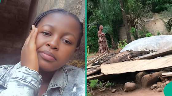 Lady who lost brother shows what mother does at his graveside every morning, video breaks hearts