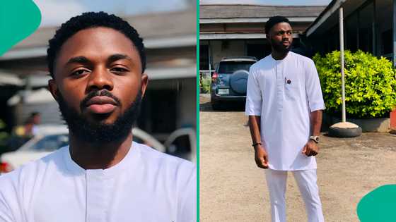 Man finds dangerous creature underneath his bed at home, unalives it: "Not a snake"