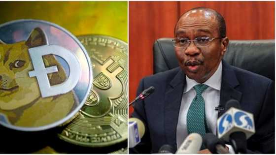 CBN defends clampdown on cryptocurrency, says Nigerian banking sector has no room for 'Illegal' trading