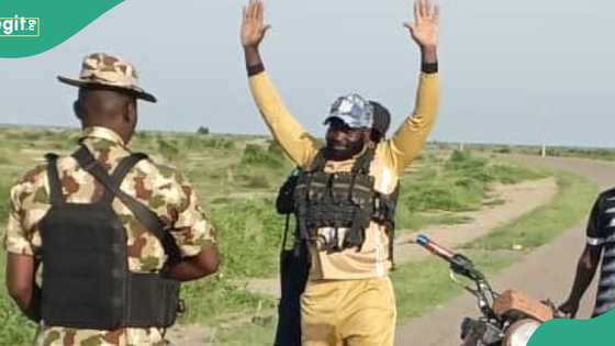 Senior ISWAP operative surrenders to Nigerian troops