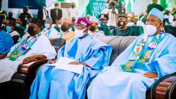 2023: Gwamna Ganduje ya faɗi wanda Bola Tinubu ya amince zai zaɓa a matsayin mataimaki na gaske