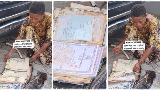 "From birth certificate to B.Sc": Lady finds out her documents have been destroyed by moist, video goes viral