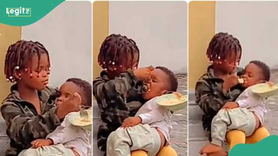“She's doing it perfectly”: Little girl feeds her sister’s son like a mother in touching video