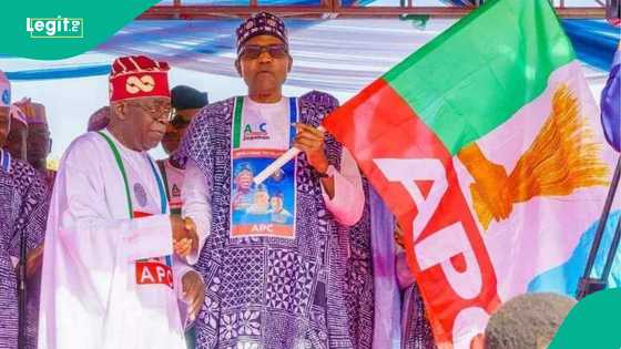 Abubuwa 8 da suka bambanta Shugaba Tinubu da su Buhari, Jonathan da 'Yar Adua