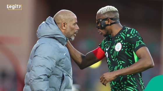 Sunday Oliseh cautions Eric Chelle on overreliance on Victor Osimhen ahead of AFCON semifinal