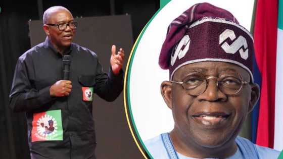 "Deporter-in-Chief": Tinubu's aide blasts Peter Obi for criticising Sanwo-Olu