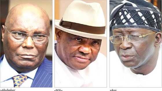Powerful PDP chieftain from southwest discloses imminent danger for Atiku if Ayu is removed